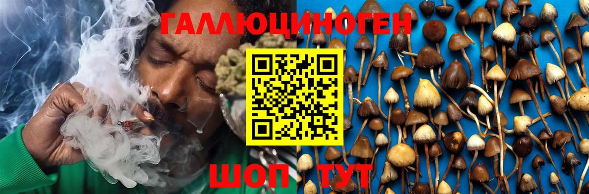 Псилоцибиновые грибы MAGIC MUSHROOMS Коркино