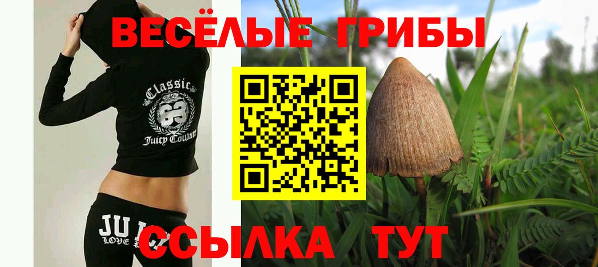 Коркино  Галлюциногенные грибы мухоморы  Вход с VPN  Псилоцибиновые грибы Psilocybine cubensis 